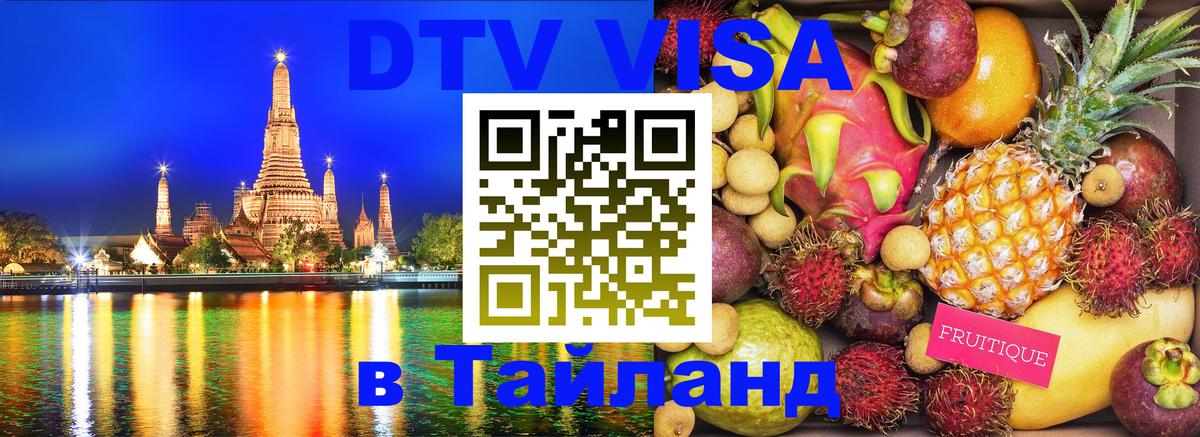 Сколько стоит DTV виза — актуальные цены, оформление даже без документов - Саранск 